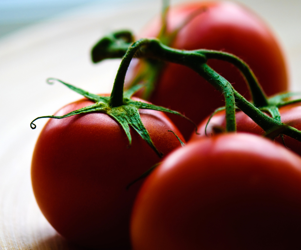 Das Tomatoes - Tomates Wallpaper 960x800