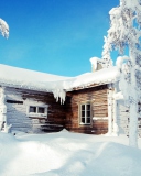 Das Winter House Wallpaper 128x160