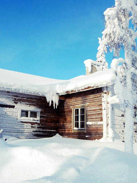 Winter House screenshot #1 480x640