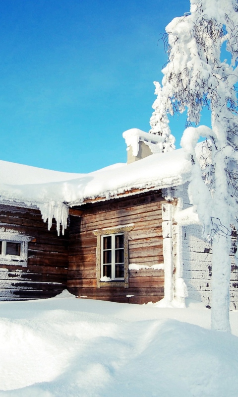 Das Winter House Wallpaper 480x800