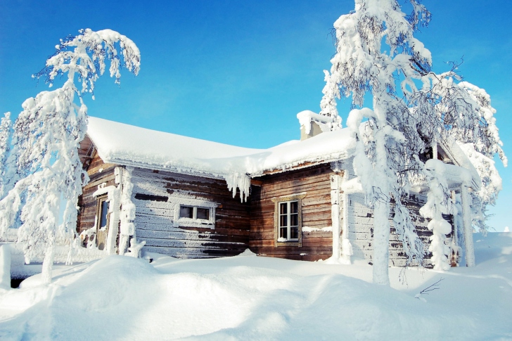 Обои Winter House