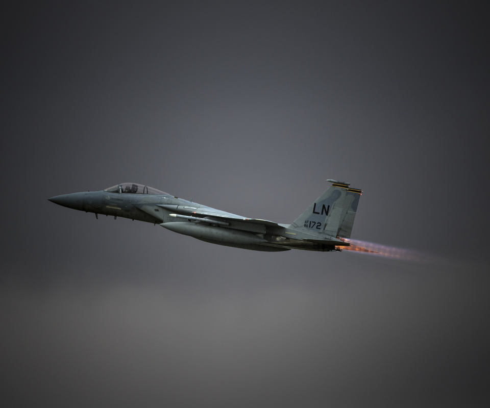 Screenshot №1 pro téma McDonnell Douglas F-15 Eagle Fighter Aircraft 960x800