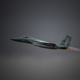 McDonnell Douglas F-15 Eagle Fighter Aircraft sfondi gratuiti per iPad mini