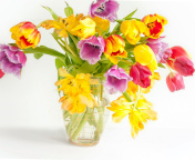 Screenshot №1 pro téma Fresh Spring Tulips 176x144