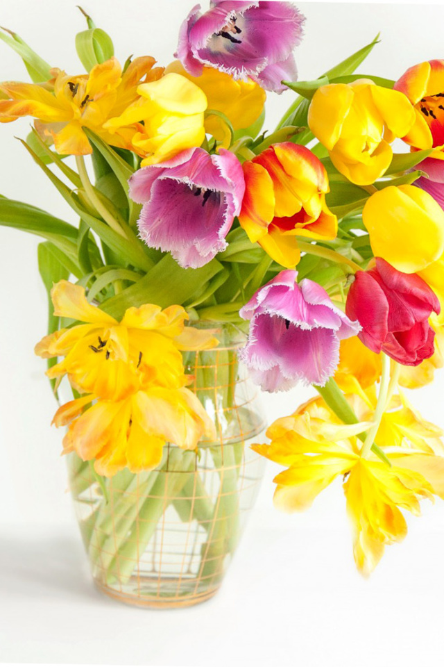 Sfondi Fresh Spring Tulips 640x960