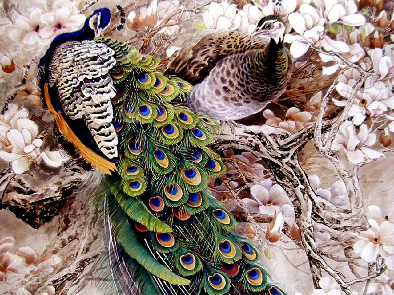 Sfondi Peacock Painting 1280x960