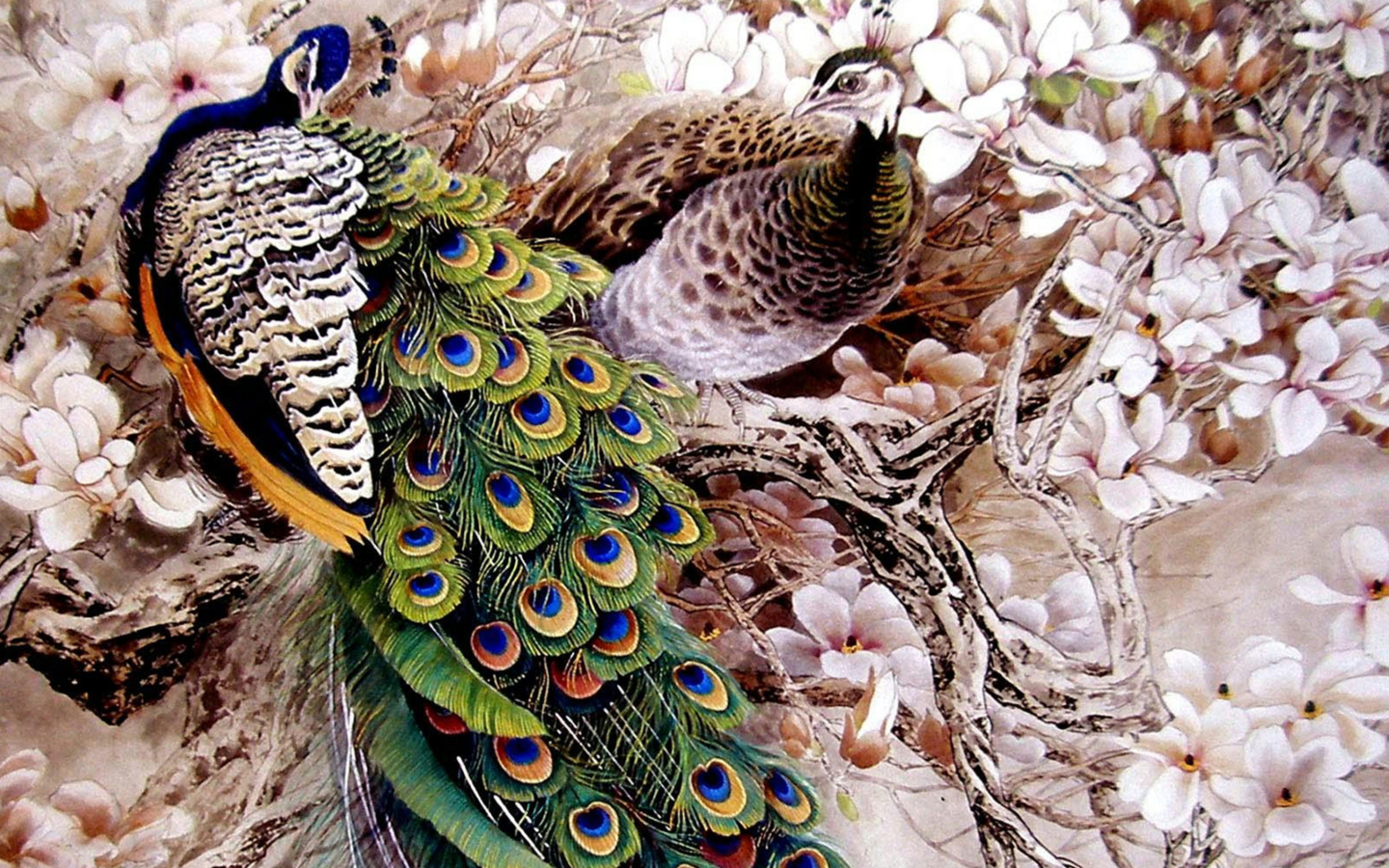 Das Peacock Painting Wallpaper 1440x900