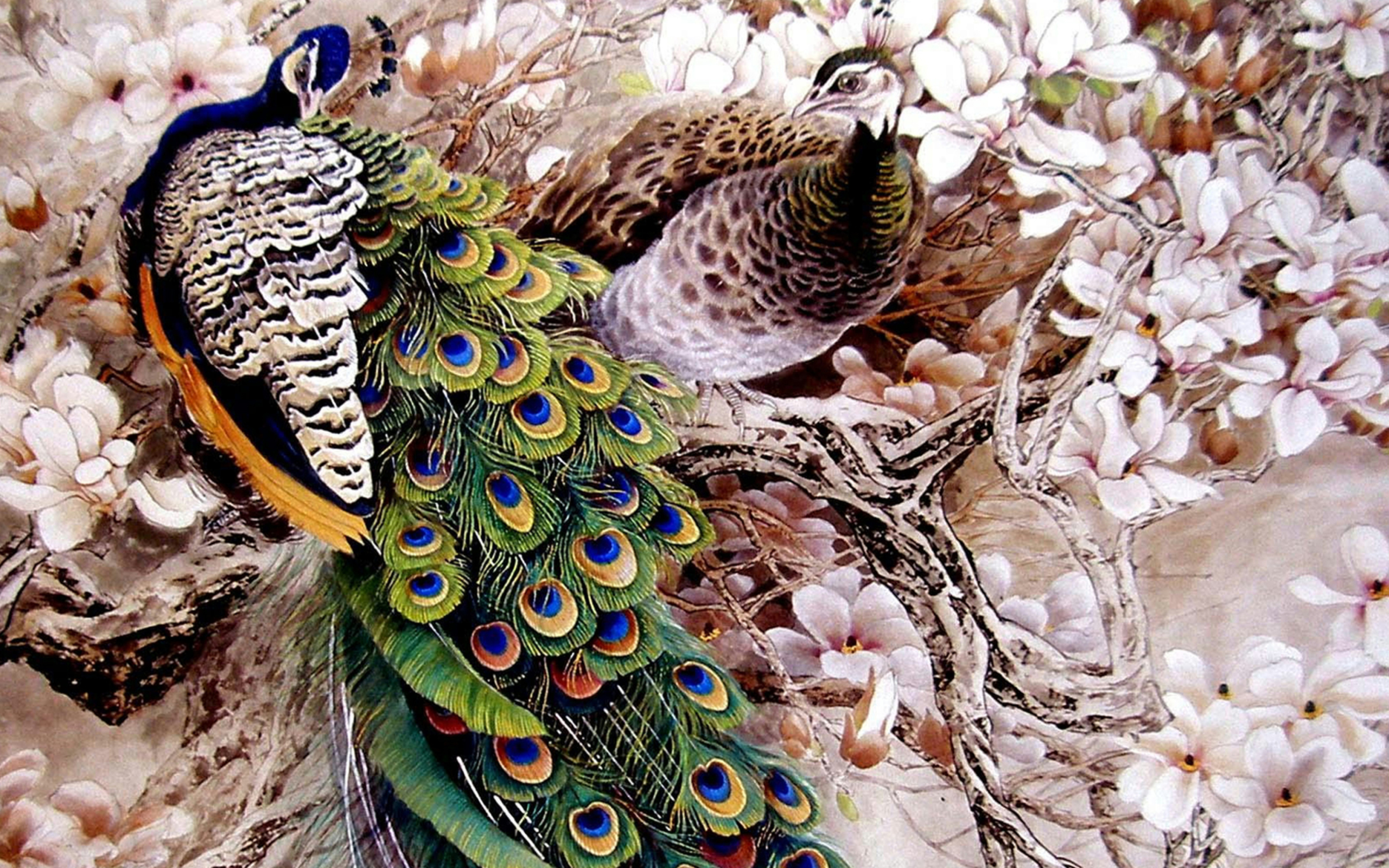 Обои Peacock Painting 2560x1600