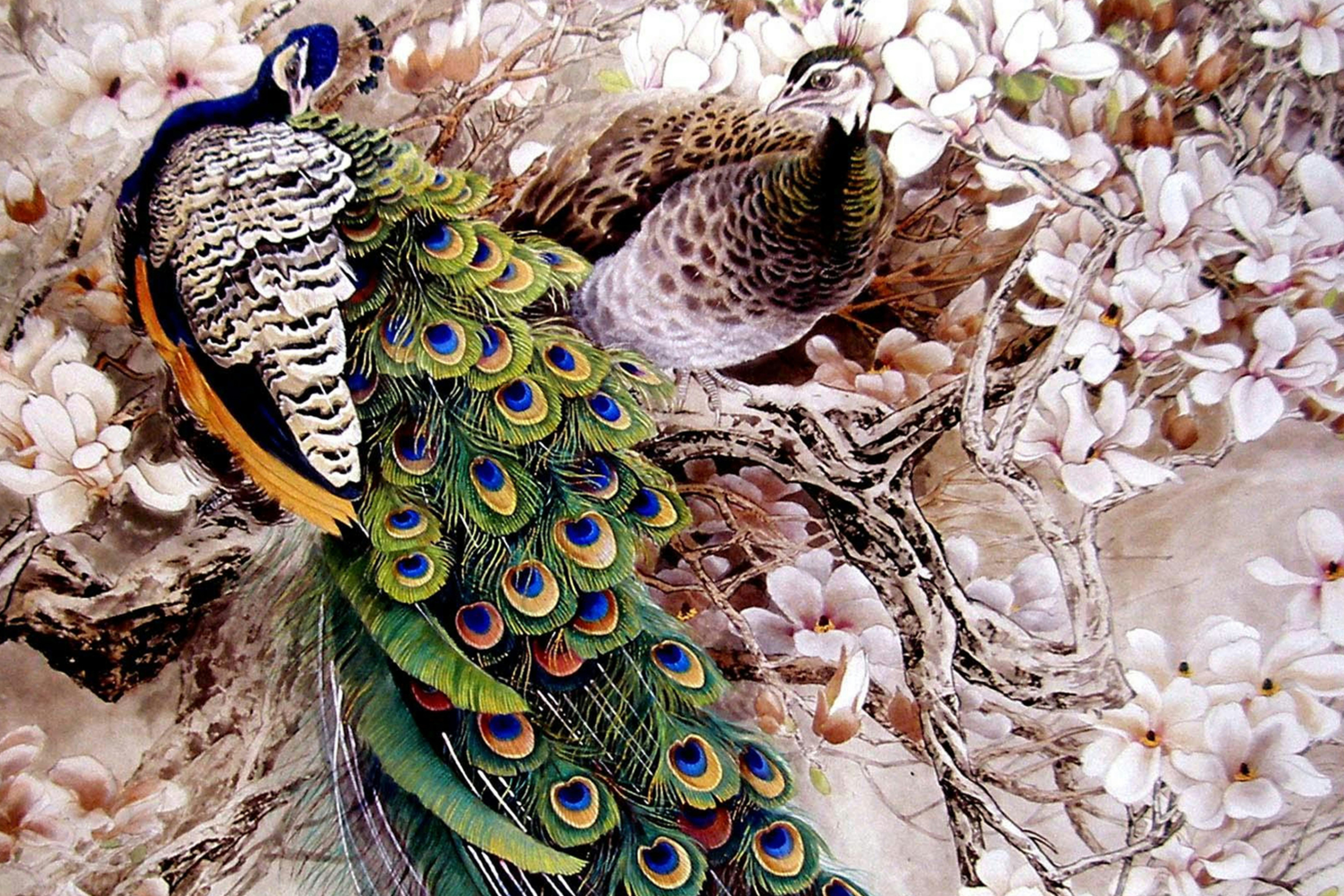 Sfondi Peacock Painting 2880x1920