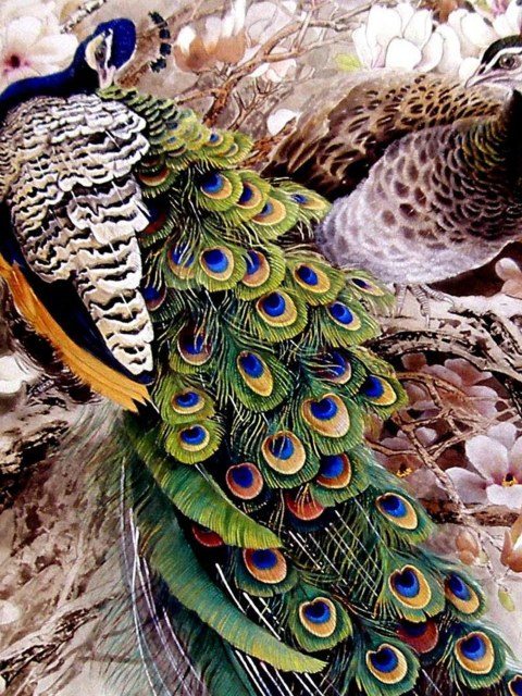 Обои Peacock Painting 480x640