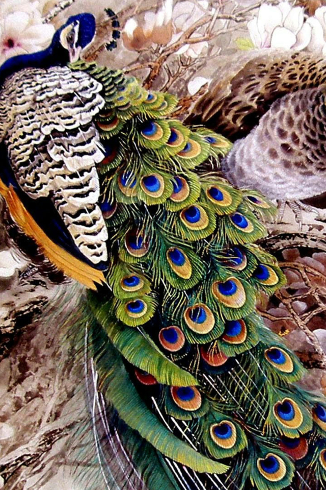 Sfondi Peacock Painting 640x960