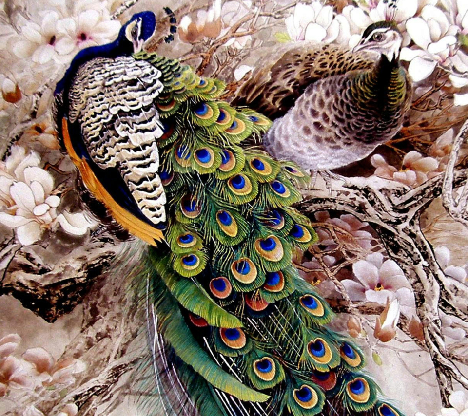 Fondo de pantalla Peacock Painting 960x854