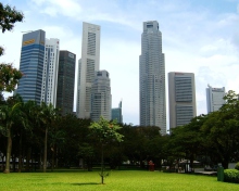 Обои Singapore Park 220x176