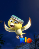 Rio wallpaper 128x160