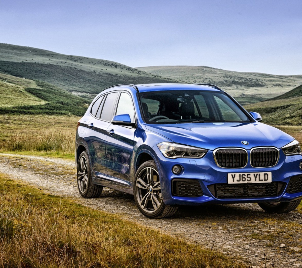 Sfondi 2015 BMW X1 M F48 960x854