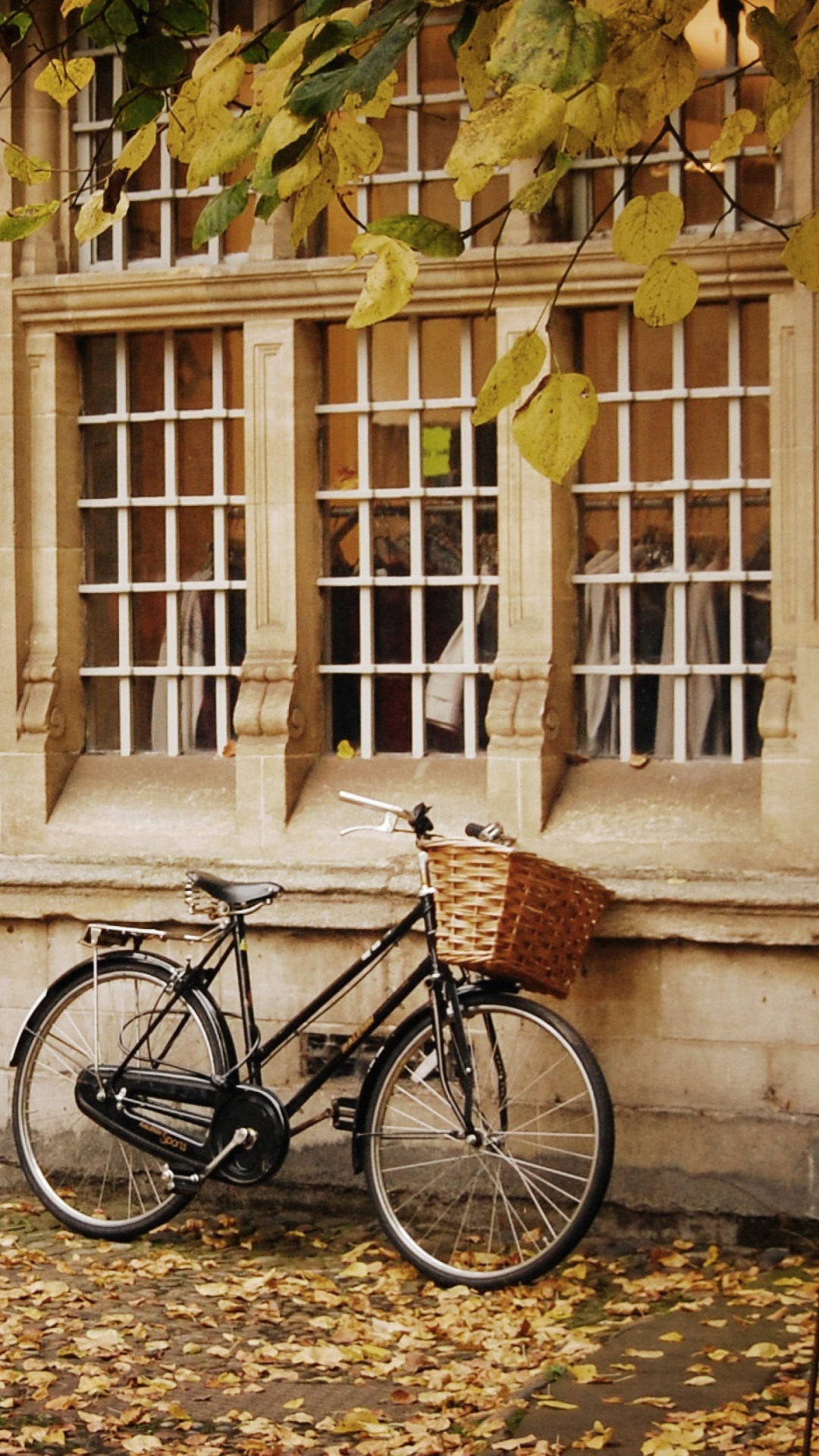 Sfondi Bicycle And Autumn 1080x1920