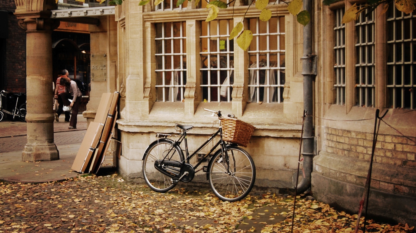 Bicycle And Autumn wallpaper 1366x768