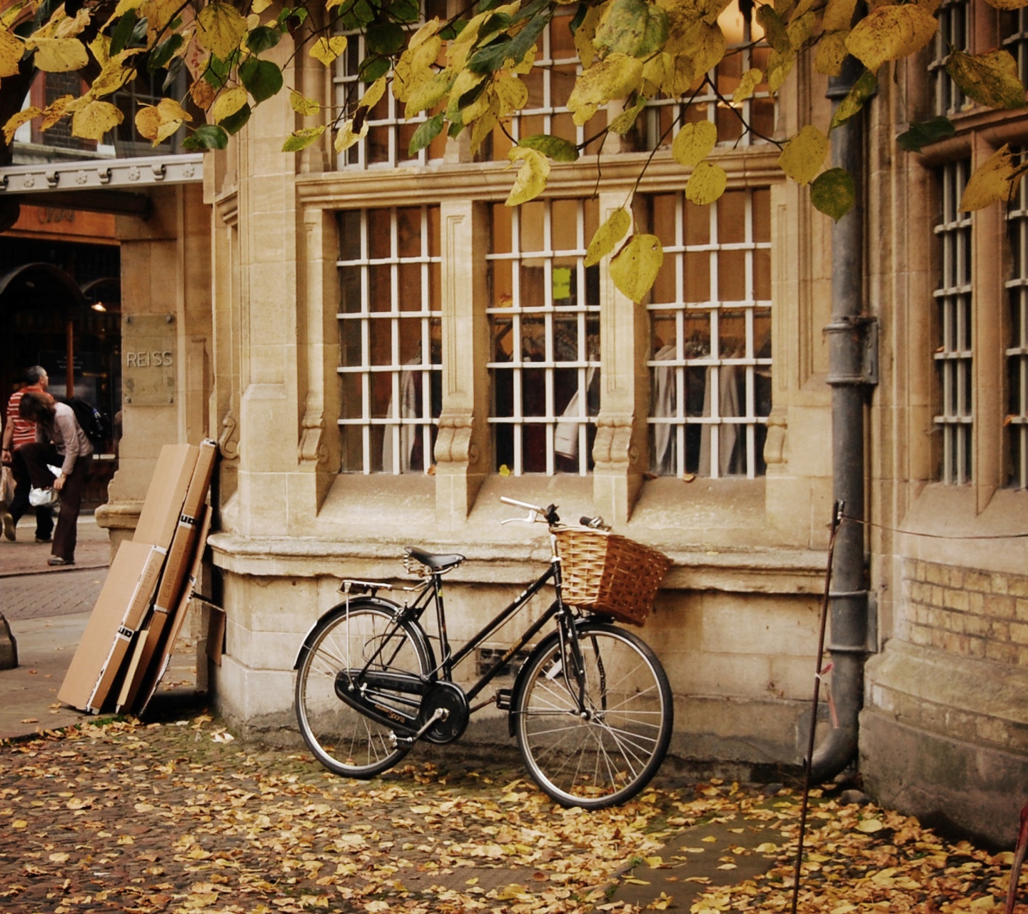 Sfondi Bicycle And Autumn 1440x1280