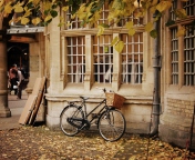 Das Bicycle And Autumn Wallpaper 176x144
