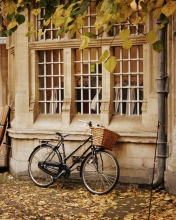 Bicycle And Autumn wallpaper 176x220