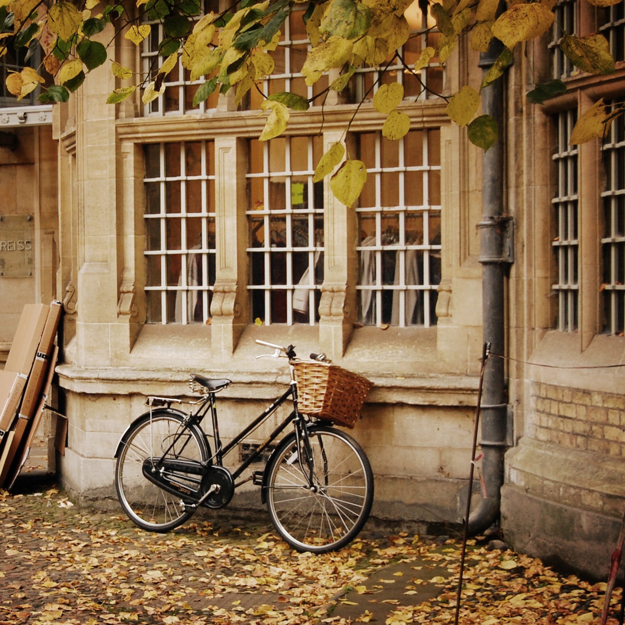 Das Bicycle And Autumn Wallpaper 2048x2048