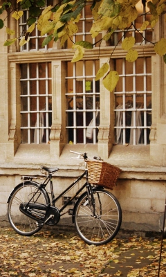 Das Bicycle And Autumn Wallpaper 240x400