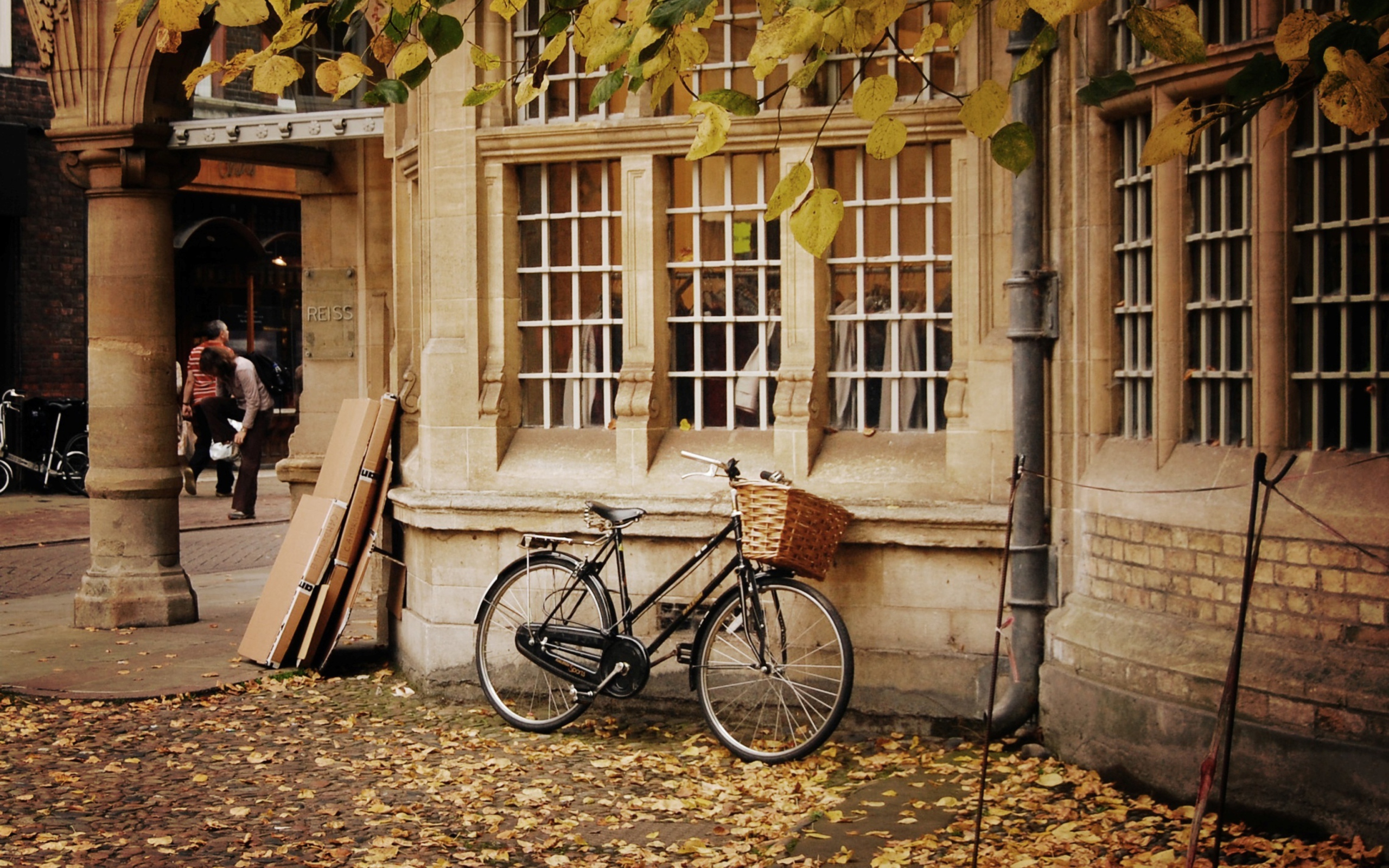 Обои Bicycle And Autumn 2560x1600