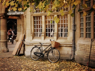 Das Bicycle And Autumn Wallpaper 320x240