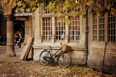 Fondo de pantalla Bicycle And Autumn 480x320
