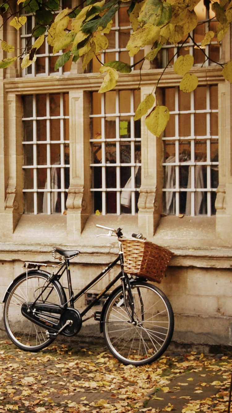 Das Bicycle And Autumn Wallpaper 750x1334