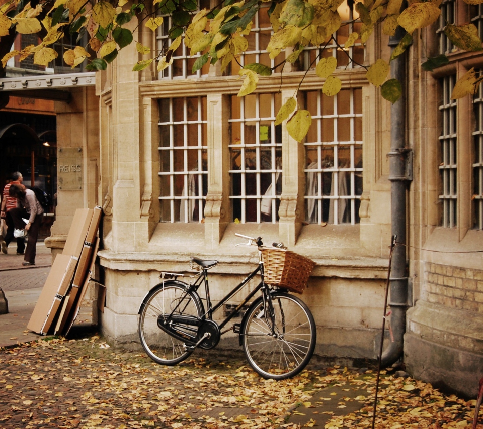 Fondo de pantalla Bicycle And Autumn 960x854