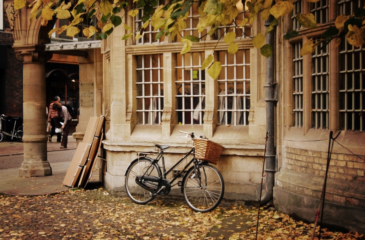 Bicycle And Autumn wallpaper