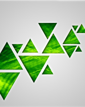 Sfondi Green Triangle 176x220