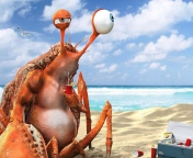 Das Lazy Crab On Beach Wallpaper 176x144