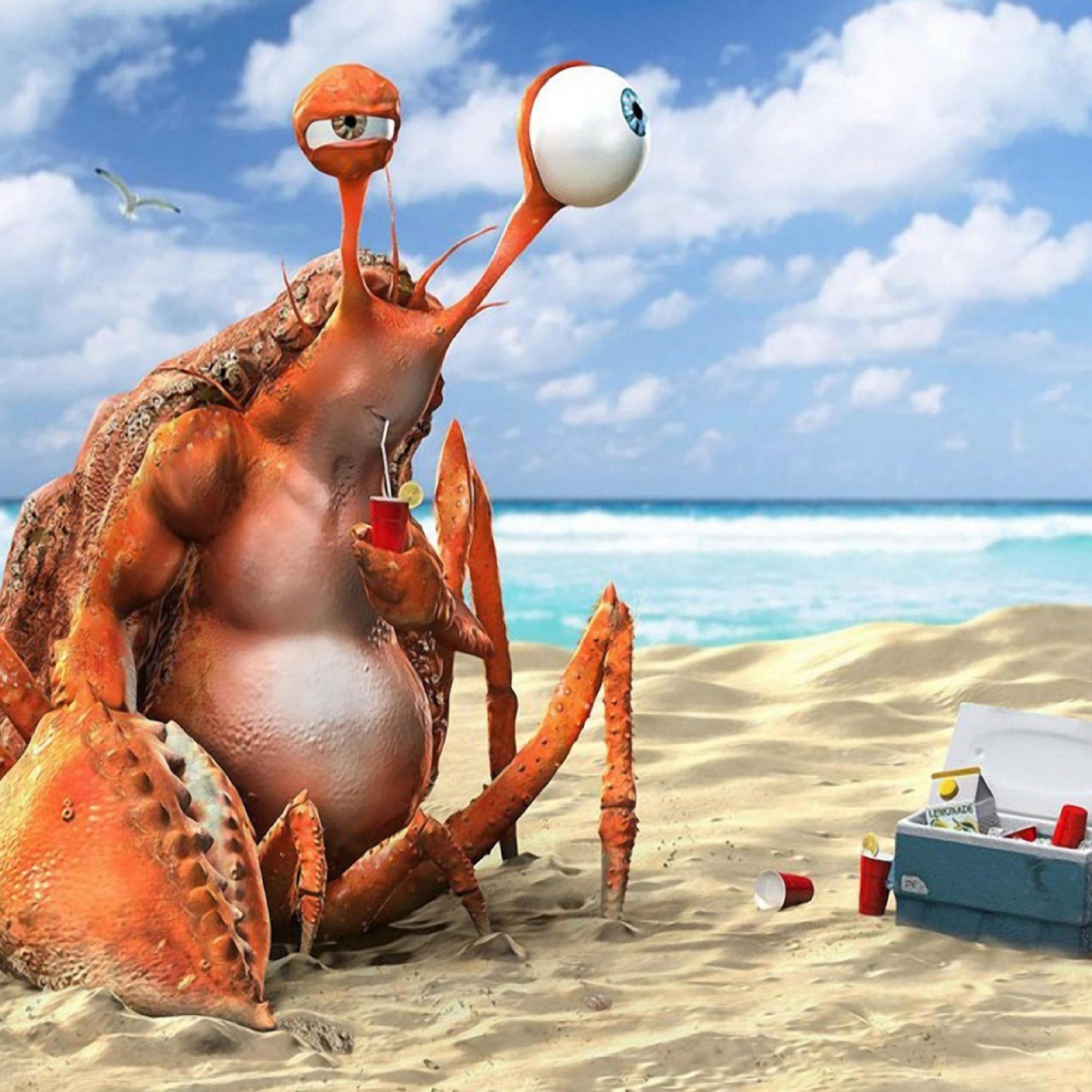 Sfondi Lazy Crab On Beach 2048x2048