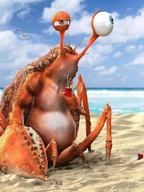 Обои Lazy Crab On Beach 480x640