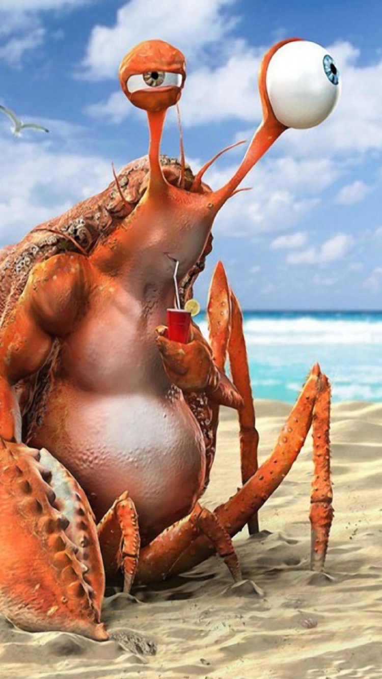 Das Lazy Crab On Beach Wallpaper 750x1334