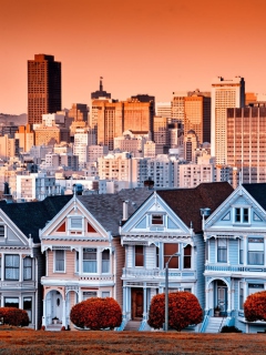 Das Beautiful San Francisco California Wallpaper 240x320