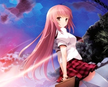 Fondo de pantalla Anime School Girl 220x176