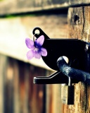 Flowers on the fence wallpaper 128x160