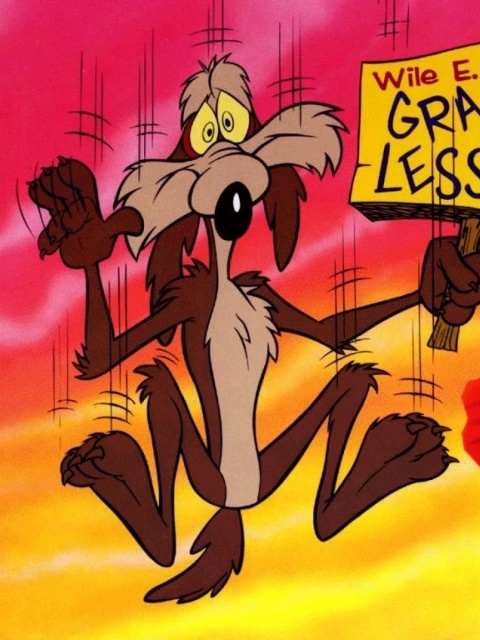 Fondo de pantalla Wile E Coyote  Looney Tunes 480x640