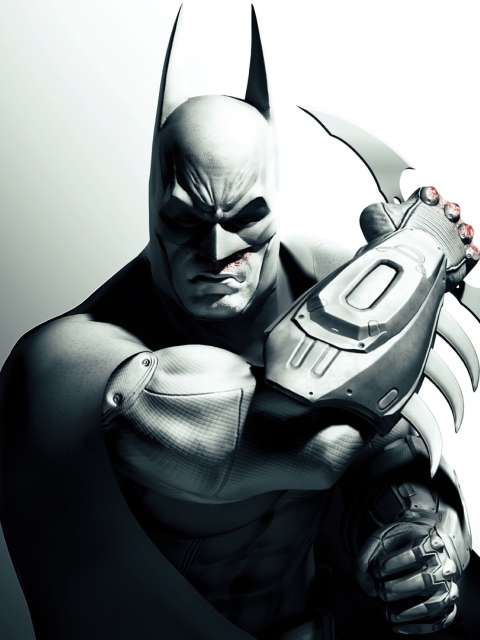 Das Batman Arkham City Wallpaper 480x640