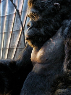 King Kong Film screenshot #1 240x320
