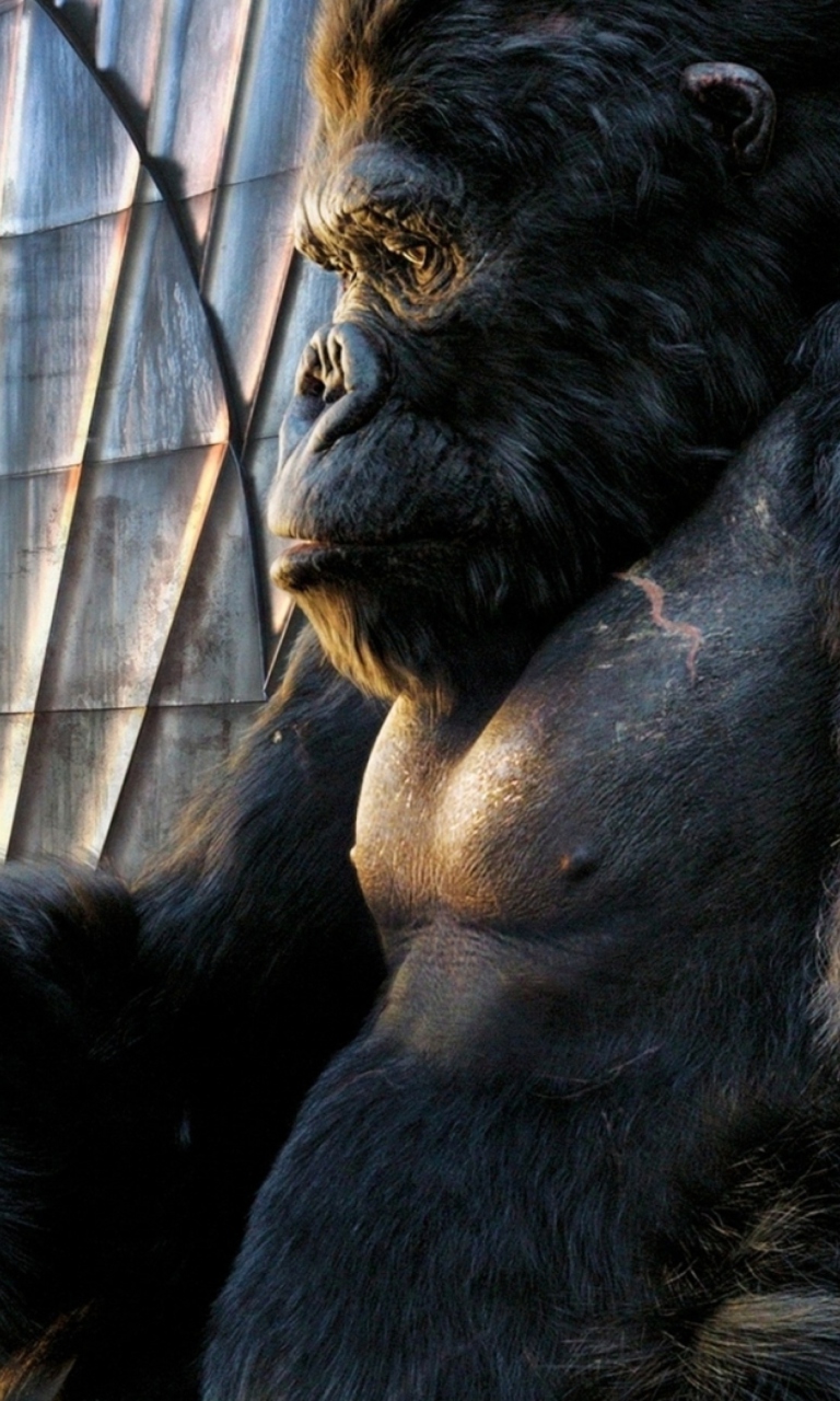 Das King Kong Film Wallpaper 768x1280