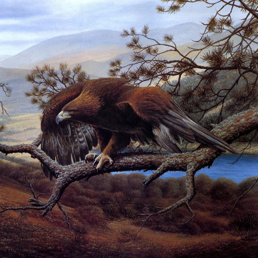 Das Eagle On Branch Wallpaper 1024x1024