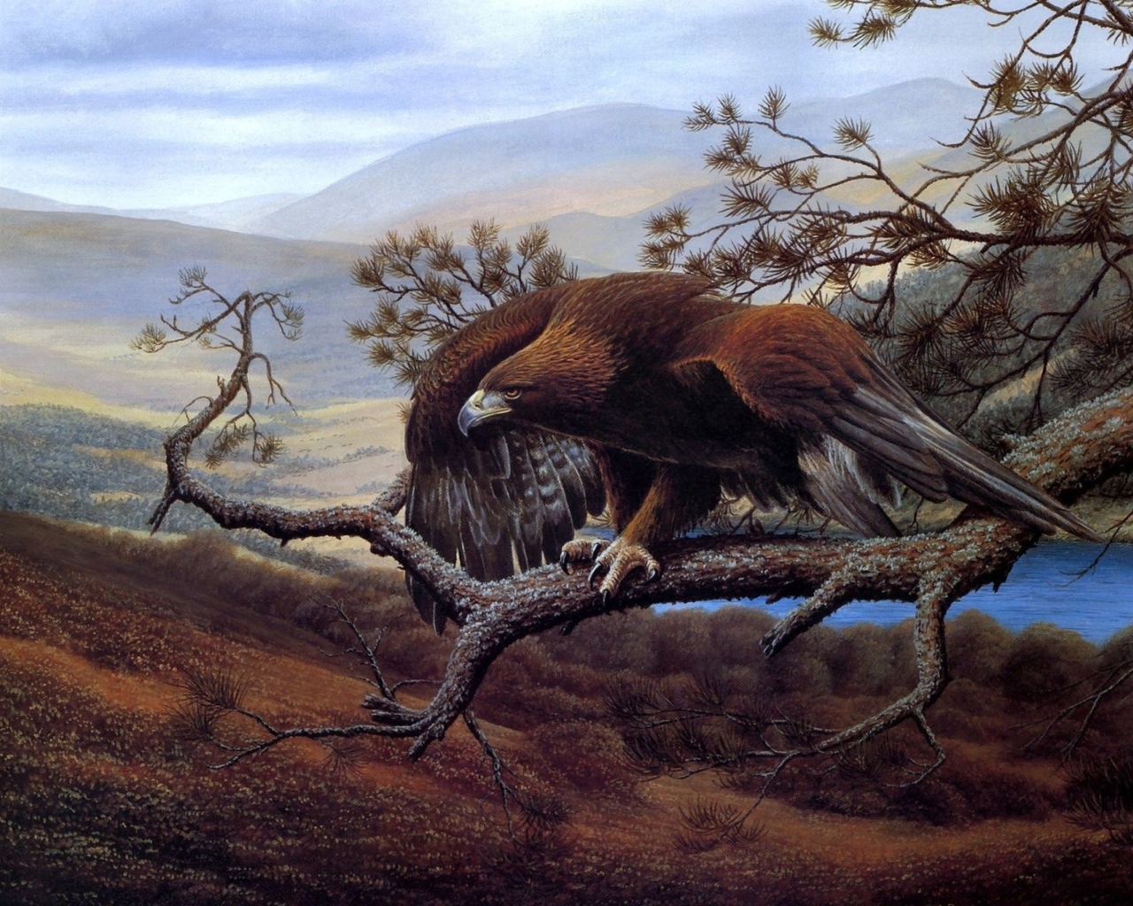 Das Eagle On Branch Wallpaper 1280x1024