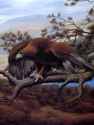 Das Eagle On Branch Wallpaper 132x176