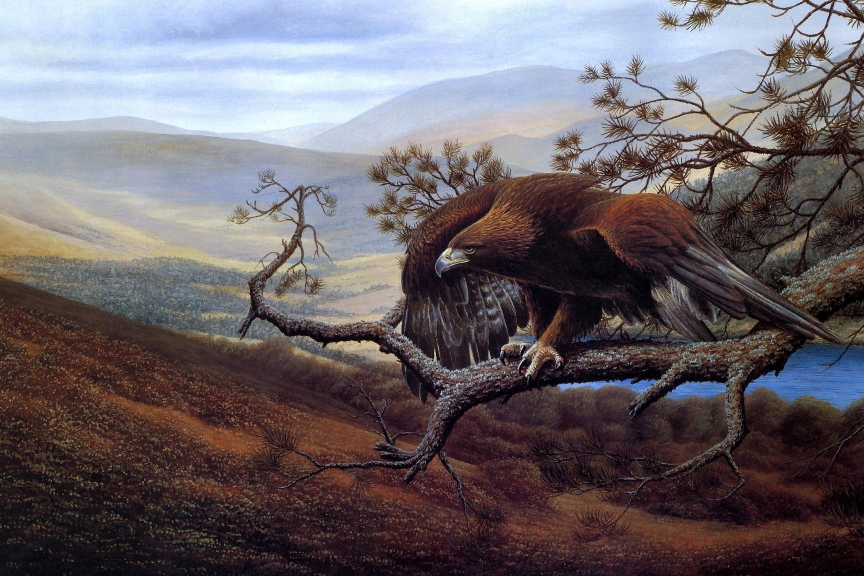 Das Eagle On Branch Wallpaper 2880x1920