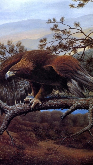 Das Eagle On Branch Wallpaper 360x640