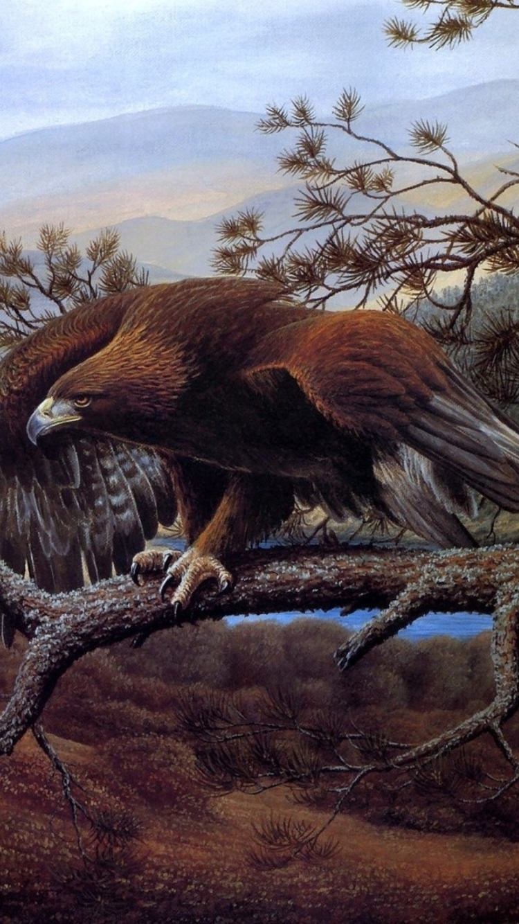 Das Eagle On Branch Wallpaper 750x1334